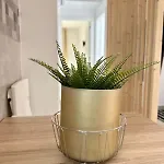 Apartment Blessed Holidays In A New And Equipped Apartment, Wi-fi Caleta De Fuste